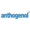 Anthogenol 