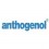 Anthogenol 