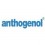 Anthogenol 