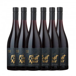 【国内现货-需人民币支付】【6瓶装】2018年份 新西兰Misty Cove雾湾地标系列 马尔堡产区黑比诺 红葡萄酒红酒13.5% 