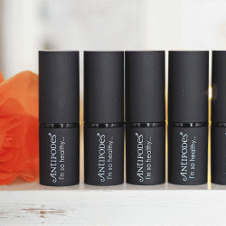 【新包装】Antipodes 天然有机植物口红护唇膏 多种色号可选 孕妇可用 保质期2028-2031 【新包装】Antipodes 天然有机植物口红护唇膏 多种色号可选 孕妇可用 保质期2028-2031