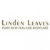 LINDEN LEAVES