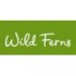 WildFerns-帕氏