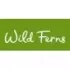 WildFerns-帕氏